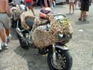 Hum900CBRmoumoute.jpg